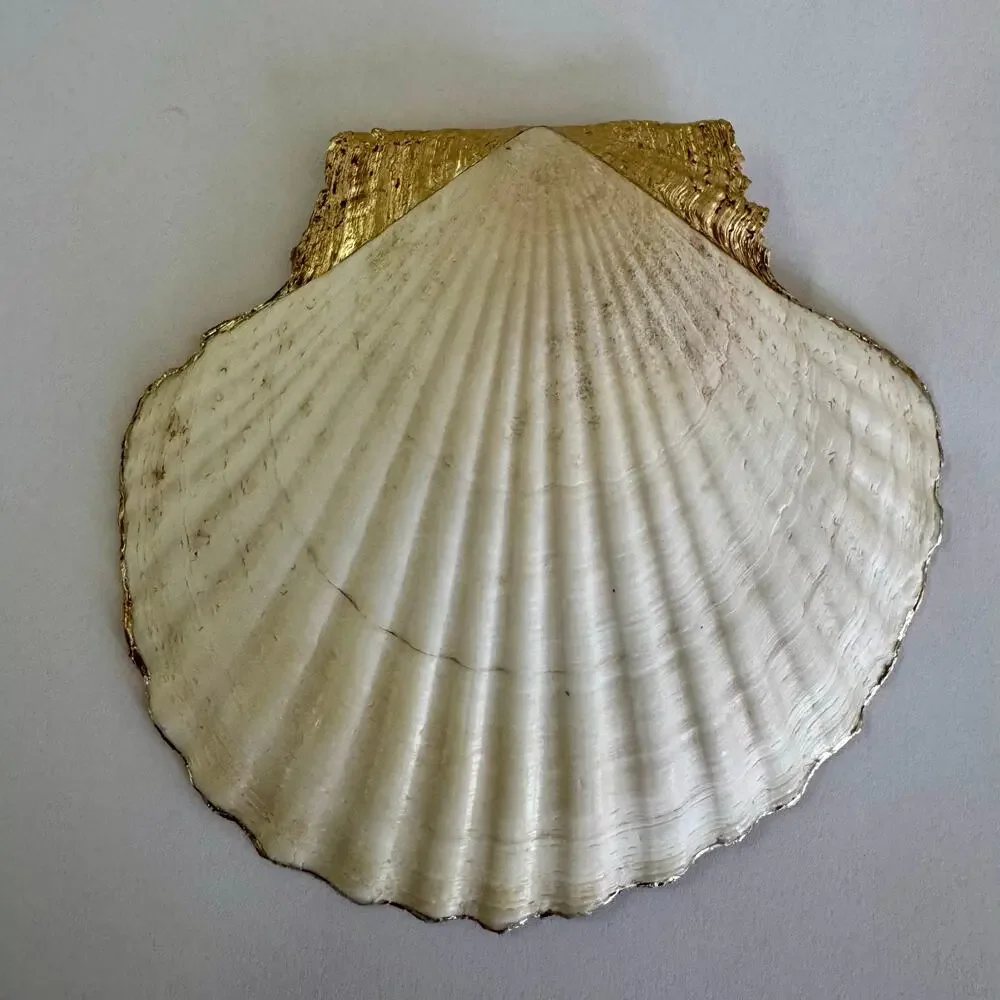 Mediterranean Lemon Scalloped Seashell Trinket Dish
